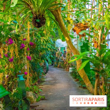 Mille et une Orchidées 2019 au Jardin des Plantes, les photos
