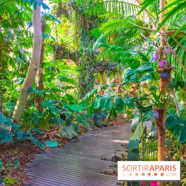 Mille et une Orchidées 2019 au Jardin des Plantes, les photos