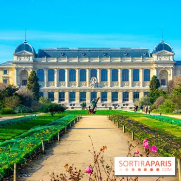 Mille et une Orchidées 2019 au Jardin des Plantes, les photos