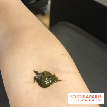 La coloration végétale chez Biocoiff'