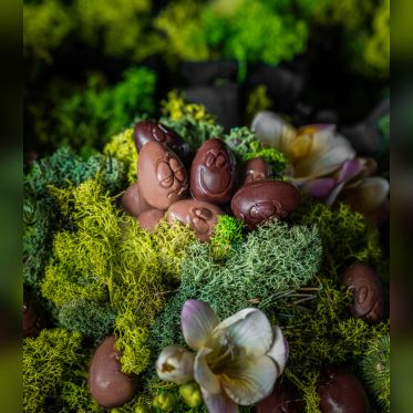 Edwart 2019 - Collection de Pâques 2019