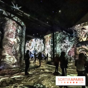 Exposition Van Gogh à l'Atelier des Lumières, les photos
