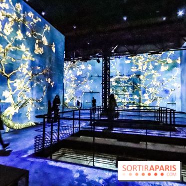 Exposition Van Gogh à l'Atelier des Lumières, les photos