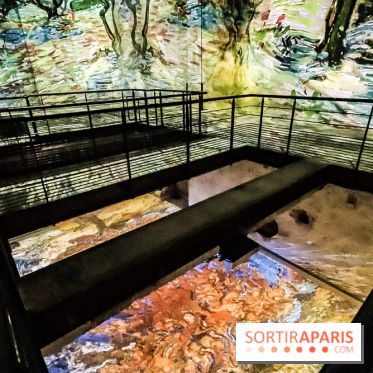 Exposition Van Gogh à l'Atelier des Lumières, les photos