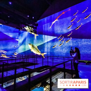 Japon rêvé, l'exposition immersive à l'Atelier des Lumières, les photos