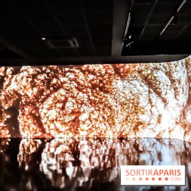 Verse, l'exposition au bar du Studio de l'Atelier des Lumières