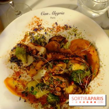 Can Alegria : la cuisine méditerranéenne s’invite à Pigalle, les photos