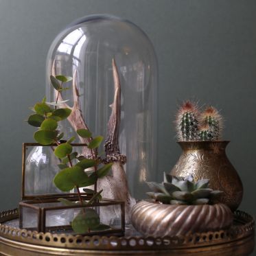 The Blond Cactus, quand le cactus passe en mode vintage