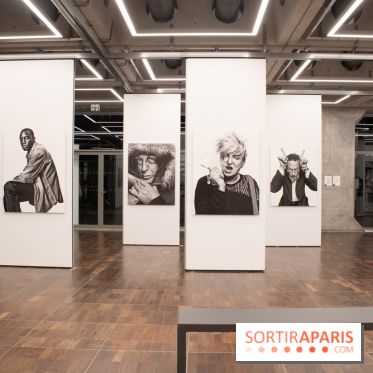 Stéphane de Bourgies, Quand le masque tombe