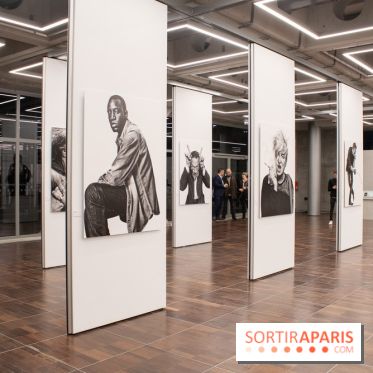 Stéphane de Bourgies, Quand le masque tombe