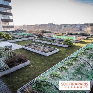 Le Cordon Bleu, cours de cuisine et nouveau café