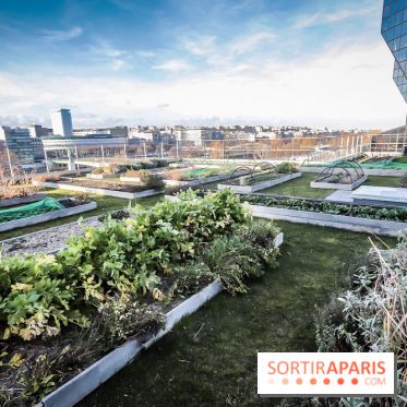 Le Cordon Bleu, cours de cuisine et nouveau café