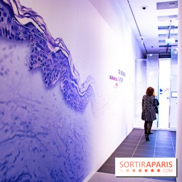 Dans ma peau au Musée de l'Homme : nos photos