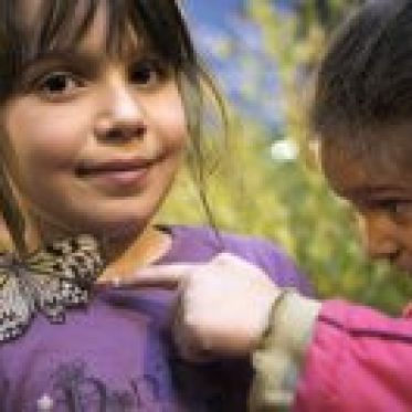 Le Jardin - La serre à papillons
© Sophie Chivet / CSI