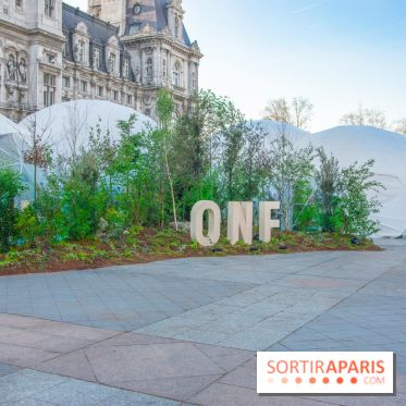 Journée Internationale des Forêts 2019