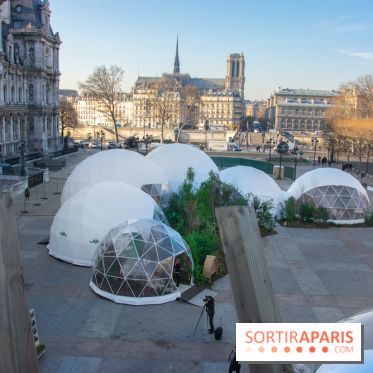 Journée Internationale des Forêts 2019