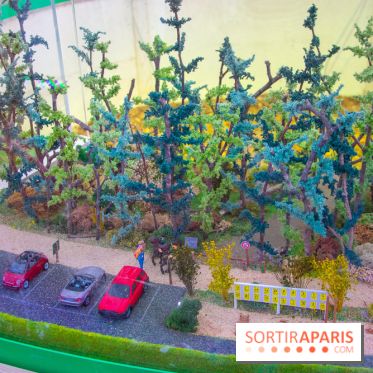 Journée Internationale des Forêts 2019