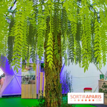 Journée Internationale des Forêts 2019