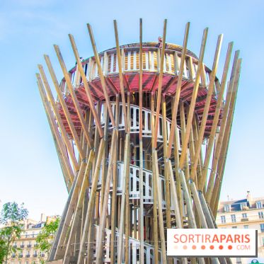 Journée Internationale des Forêts 2019