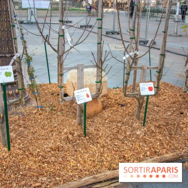 Journée Internationale des Forêts 2019