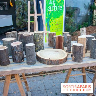 Journée Internationale des Forêts 2019
