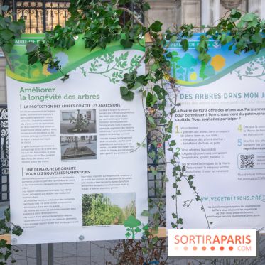 Journée Internationale des Forêts 2019