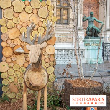 Journée Internationale des Forêts 2019