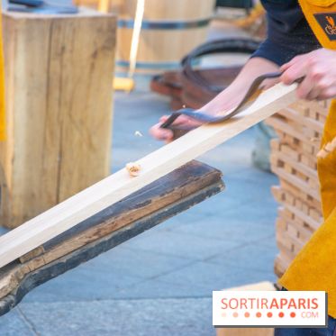 Journée Internationale des Forêts 2019