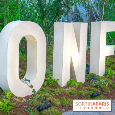 Journée Internationale des Forêts 2019