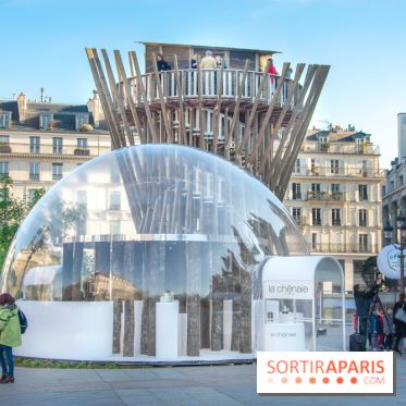 Journée Internationale des Forêts 2019