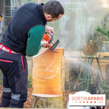 Journée Internationale des Forêts 2019