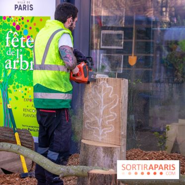 Journée Internationale des Forêts 2019