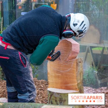 Journée Internationale des Forêts 2019