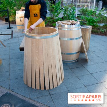 Journée Internationale des Forêts 2019