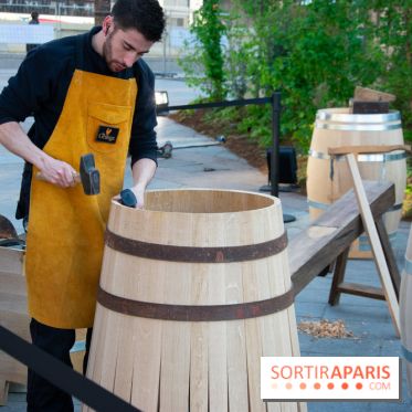 Journée Internationale des Forêts 2019