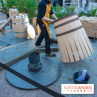 Journée Internationale des Forêts 2019