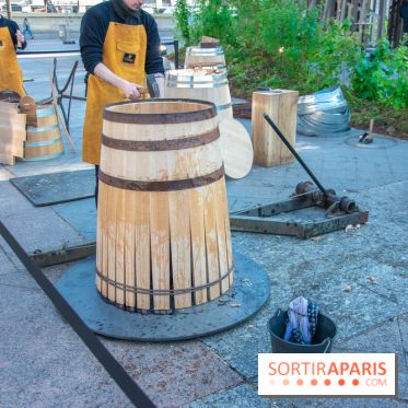 Journée Internationale des Forêts 2019