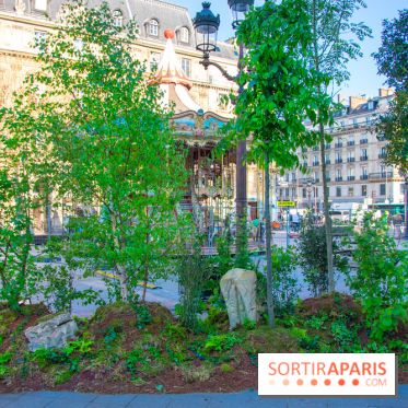La forêt, une expérience à vivre sur le Parvis de l'Hôtel de Ville