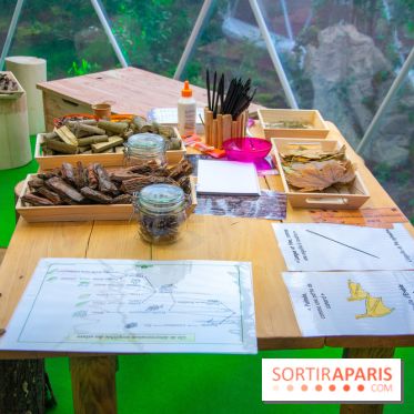 La forêt, une expérience à vivre sur le Parvis de l'Hôtel de Ville