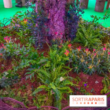 La forêt, une expérience à vivre sur le Parvis de l'Hôtel de Ville