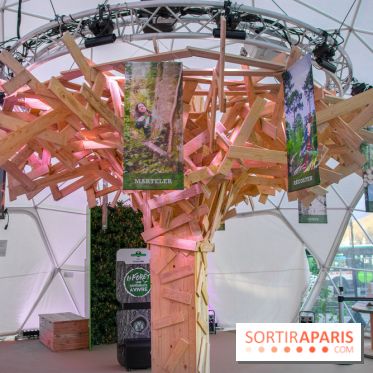 La forêt, une expérience à vivre sur le Parvis de l'Hôtel de Ville