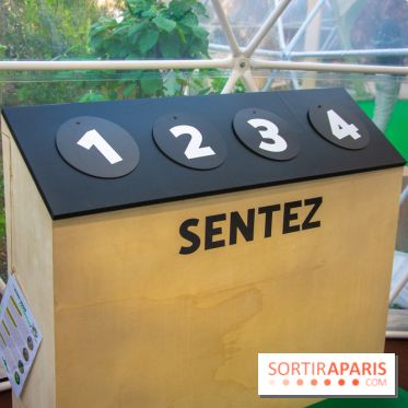 La forêt, une expérience à vivre sur le Parvis de l'Hôtel de Ville