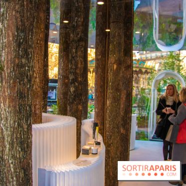 La forêt, une expérience à vivre sur le Parvis de l'Hôtel de Ville