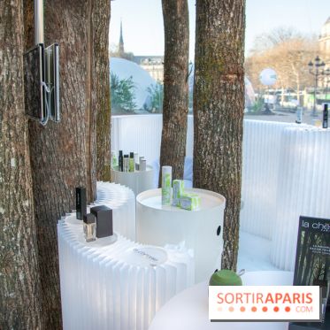 La forêt, une expérience à vivre sur le Parvis de l'Hôtel de Ville