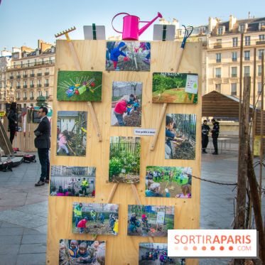 La forêt, une expérience à vivre sur le Parvis de l'Hôtel de Ville