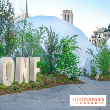 La forêt, une expérience à vivre sur le Parvis de l'Hôtel de Ville