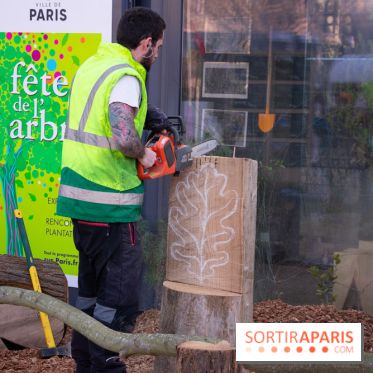 La forêt, une expérience à vivre sur le Parvis de l'Hôtel de Ville