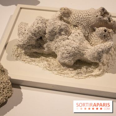 Exposition Métiers d'art, signatures des territoires à la Galerie des Gobelins