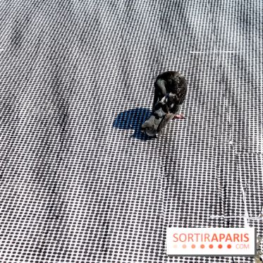 JR investit la place de la Pyramide du Louvre pour ses 30 ans