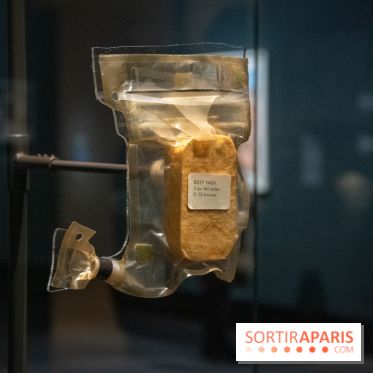 Exposition Lune au Grand Palais, nos photos 